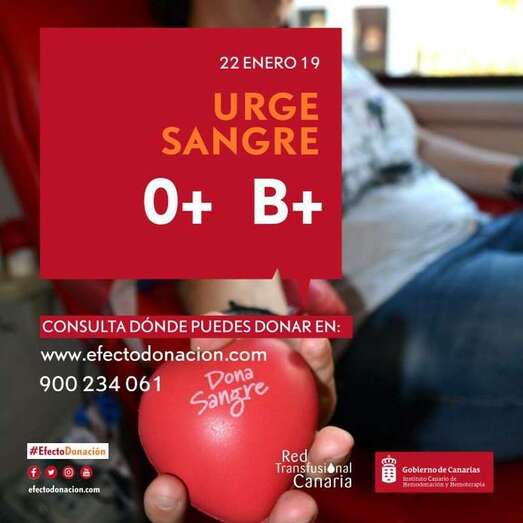 Cartel divulgado por el ICHH (Foto TA)